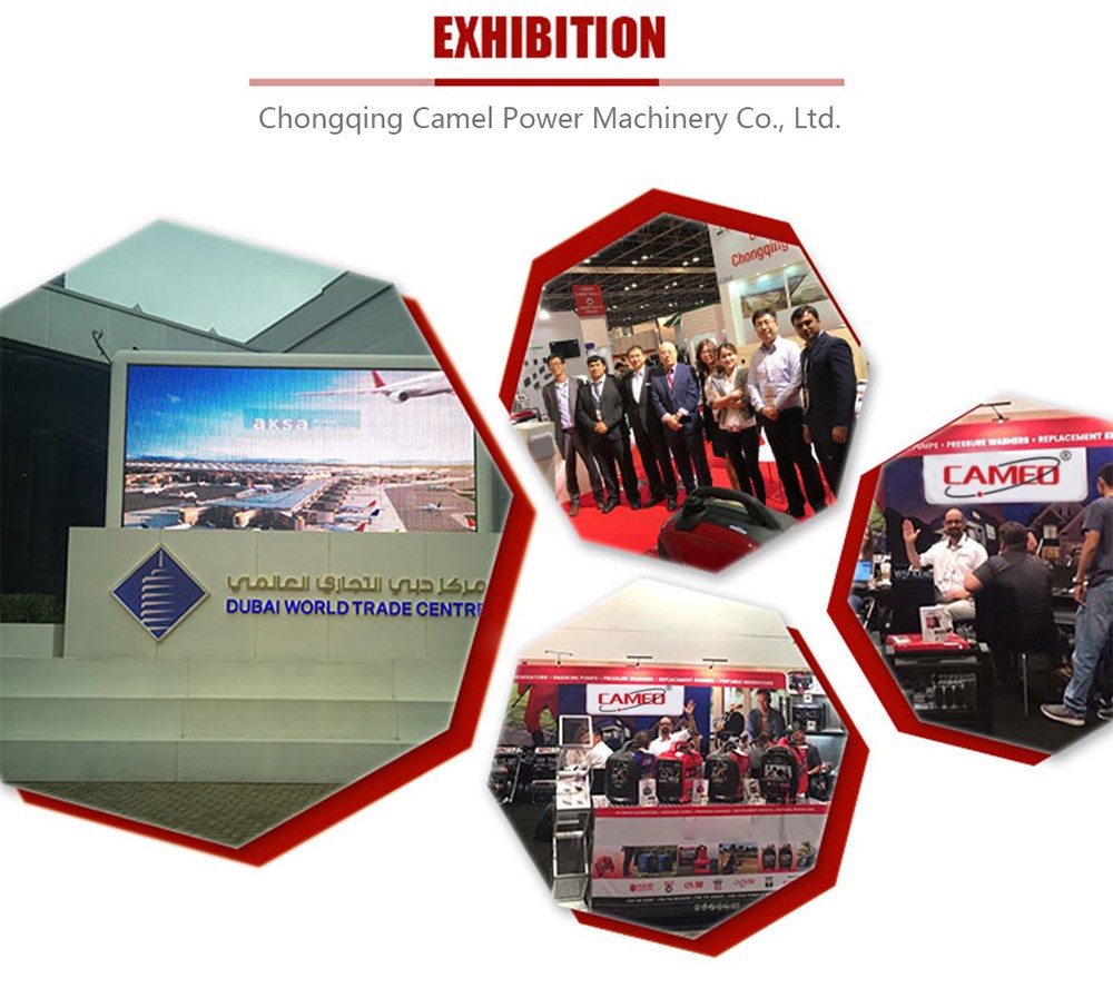 Exhibition Exhibition